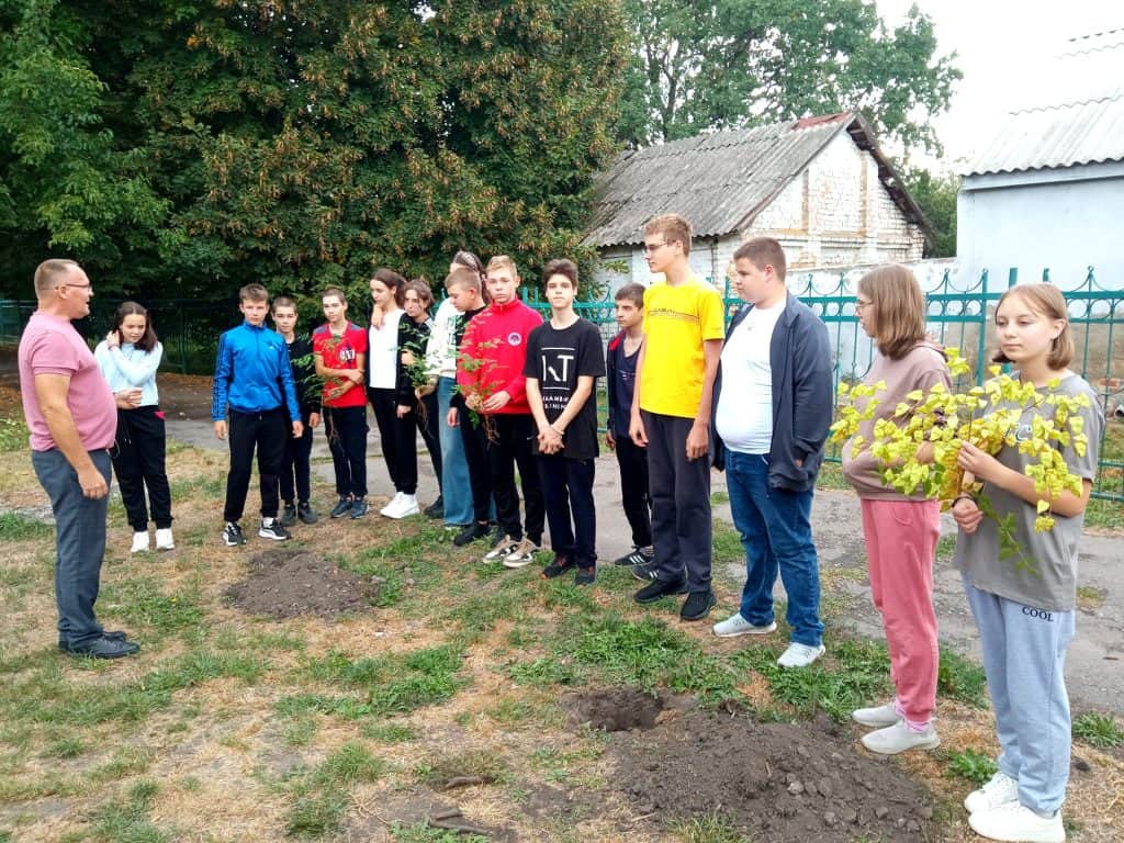Біля переяславської гімназії посадили мильне дерево: там ростуть різні екзотичні рослини