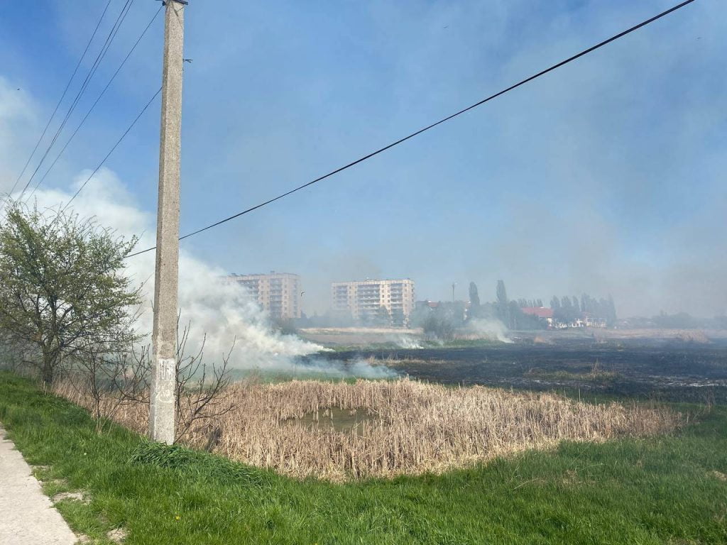 Масштабна пожежа на Переяславському лузі. Ліквідація займання тривала більше двох годин 