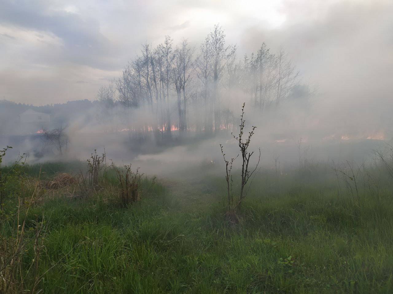 пожежа у селі Ковалин Дівичківської ОТ