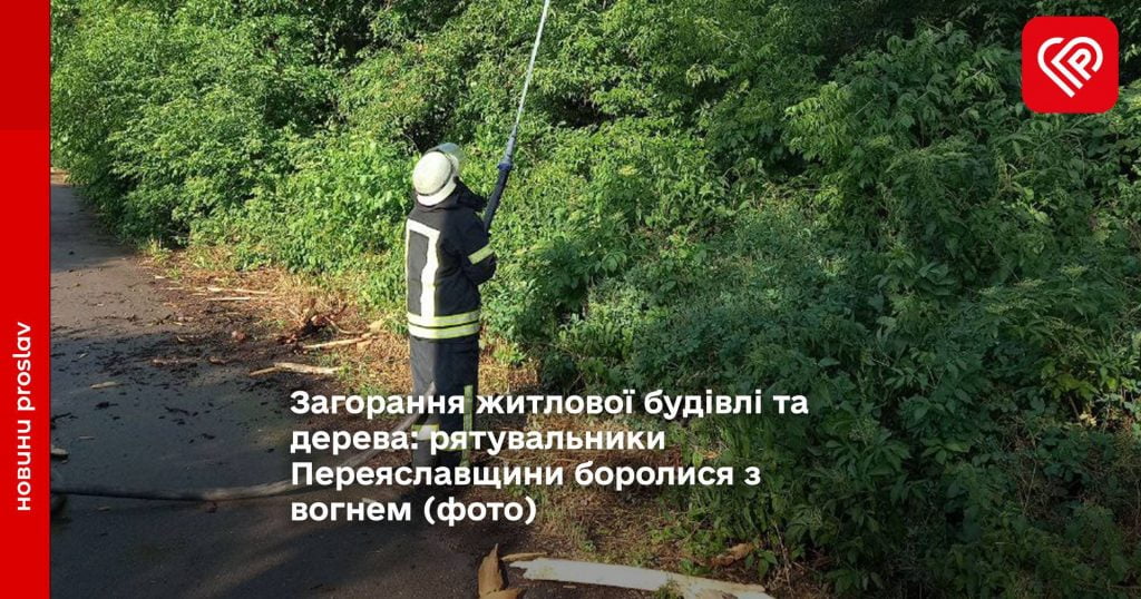 Загорання житлової будівлі та дерева: рятувальники Переяславщини боролися з вогнем (фото)