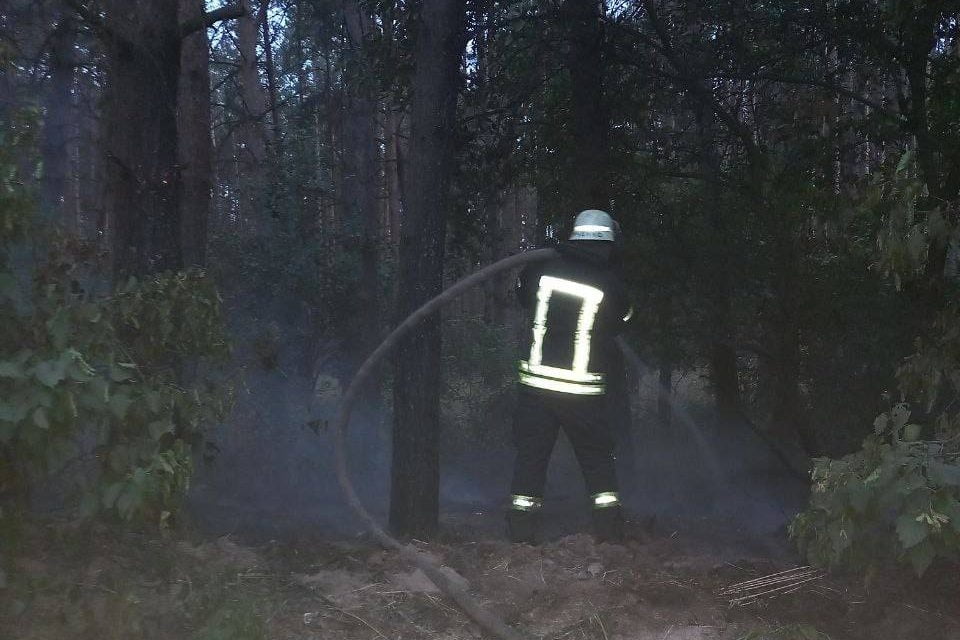 агоряння лісу у дачному кооперативі “Меліоратор”