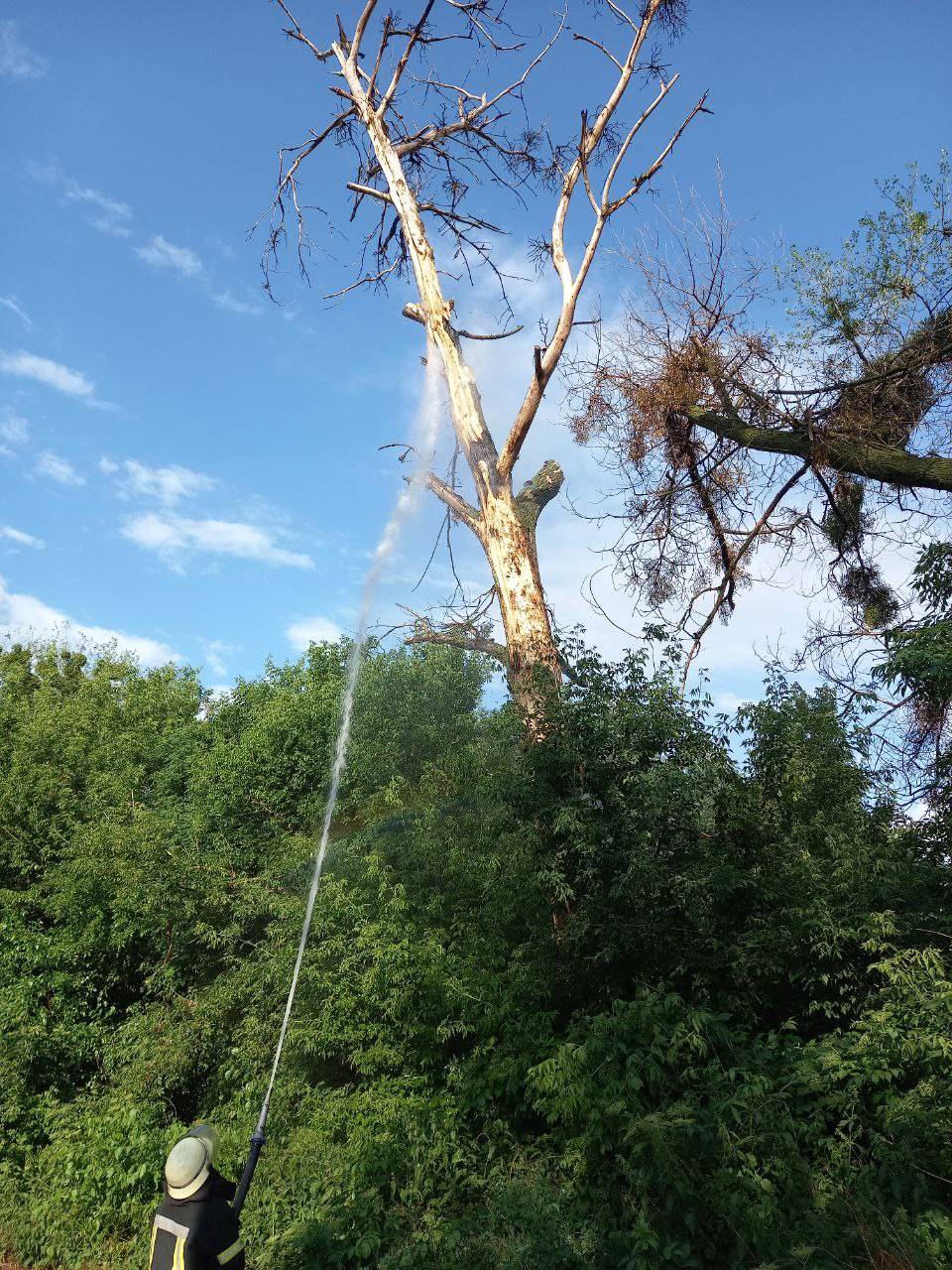 Загорання житлової будівлі та дерева: рятувальники Переяславщини боролися з вогнем