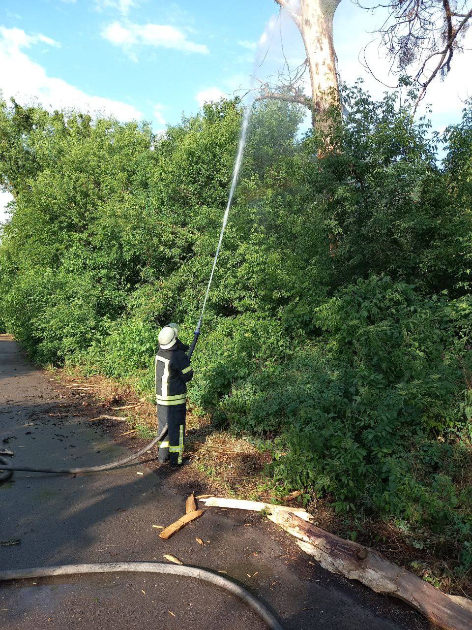 Загорання житлової будівлі та дерева: рятувальники Переяславщини боролися з вогнем