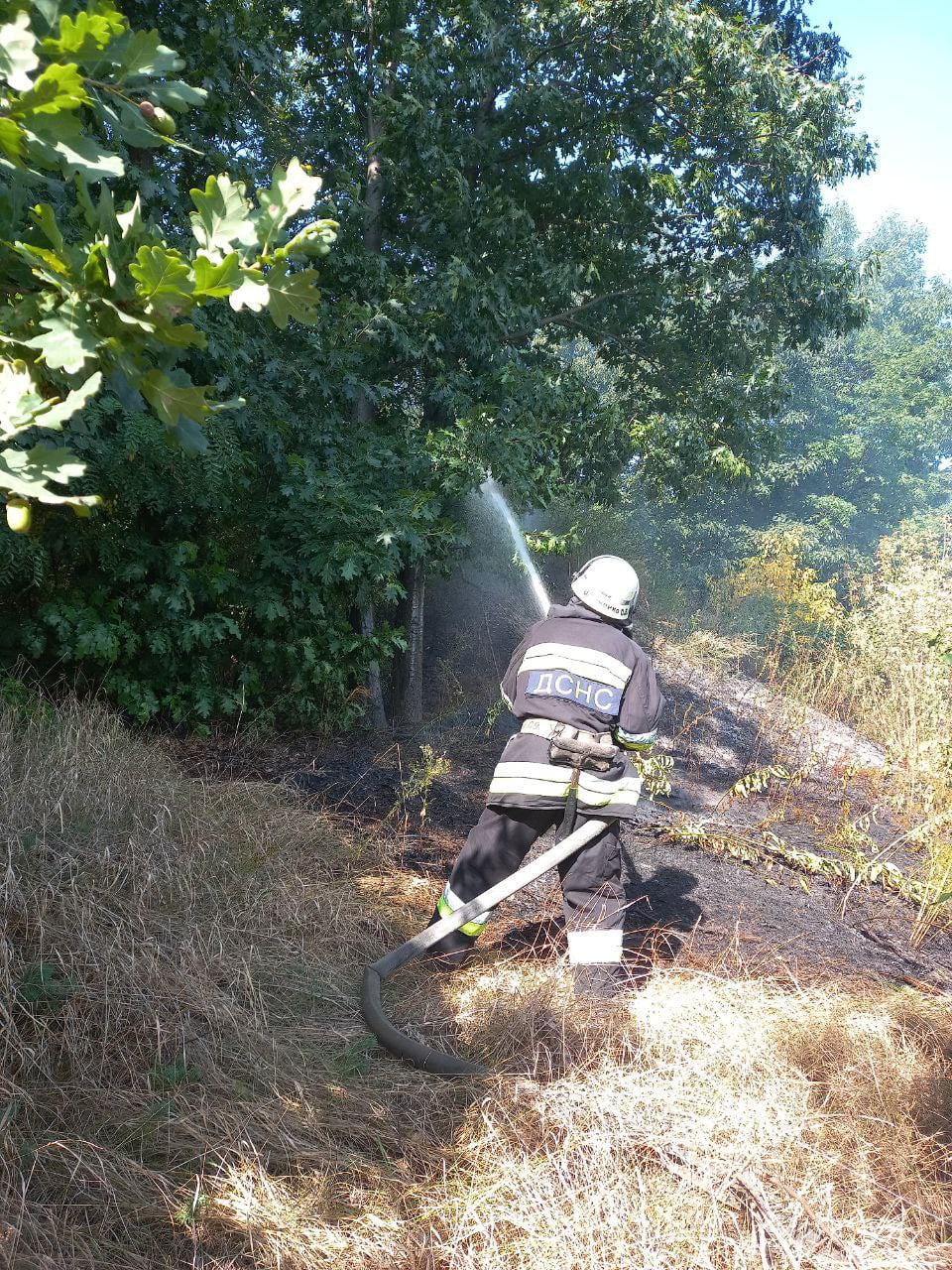 У Дівичківській громаді ледь не зайнявся ліс, а в Переяславі було чергове загорання трав’яного настилу