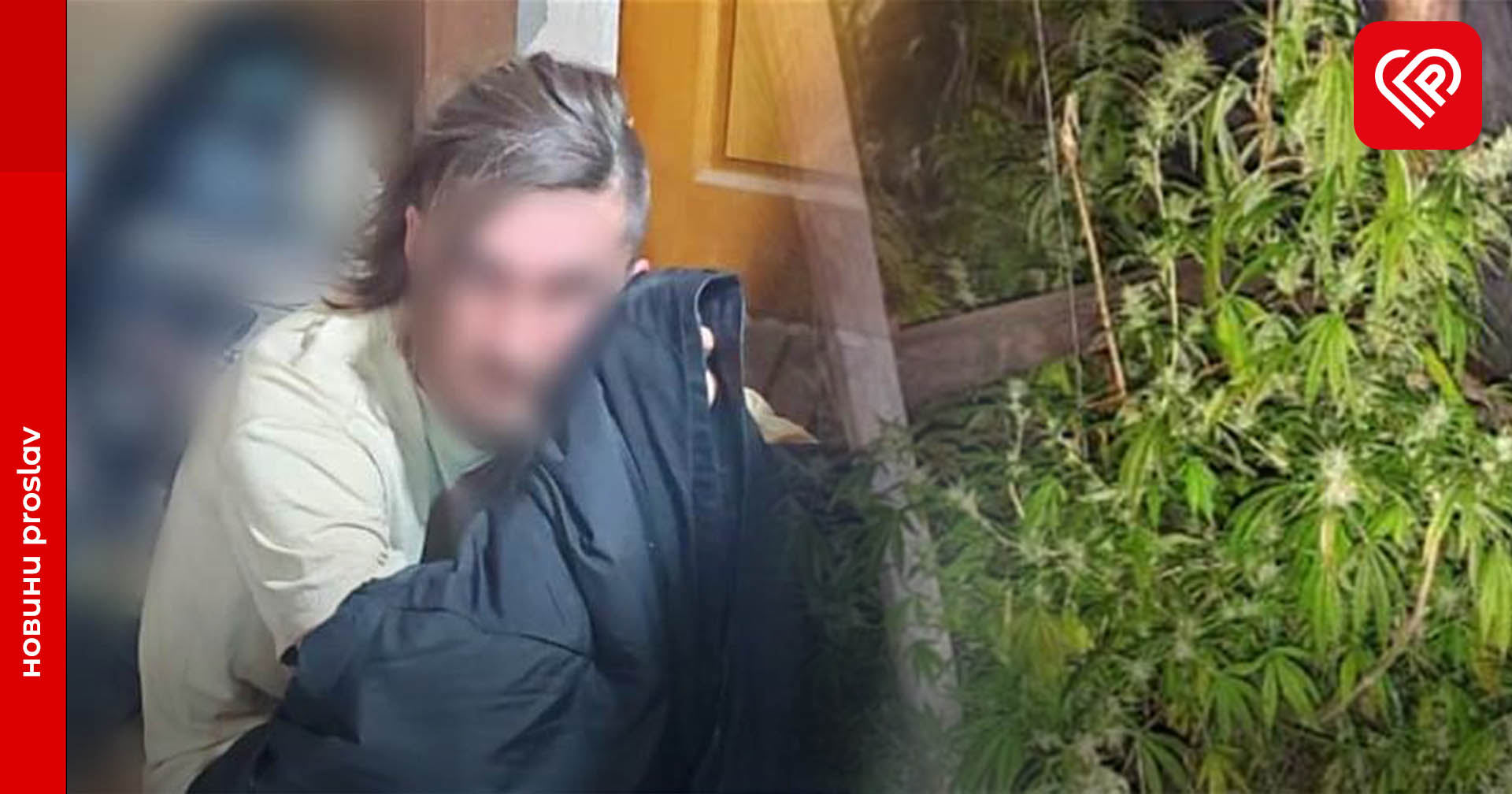 На Переяславщині поліція викрила порушника, який вирощував та зберігав коноплю