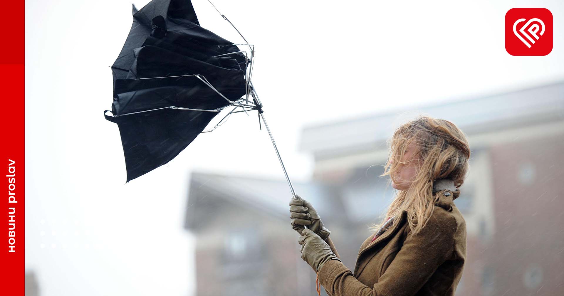 На Київщині очікуються сильні пориви вітру: введено І рівень небезпечності