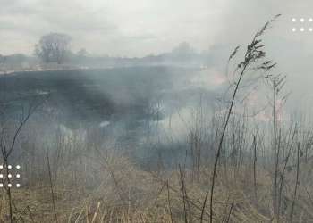 Пожежа у Переяславі: горів трав’яний покрив (відео з місця події)