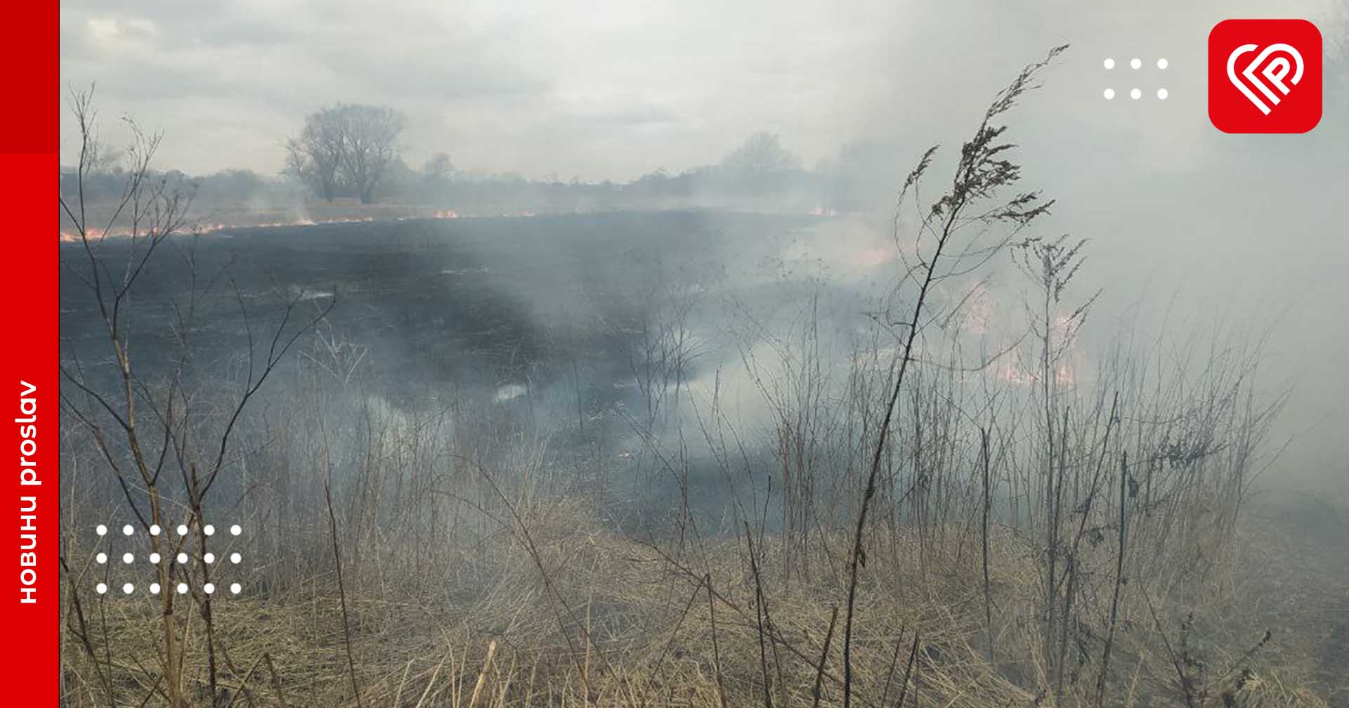 Пожежа у Переяславі: горів трав’яний покрив (відео з місця події)