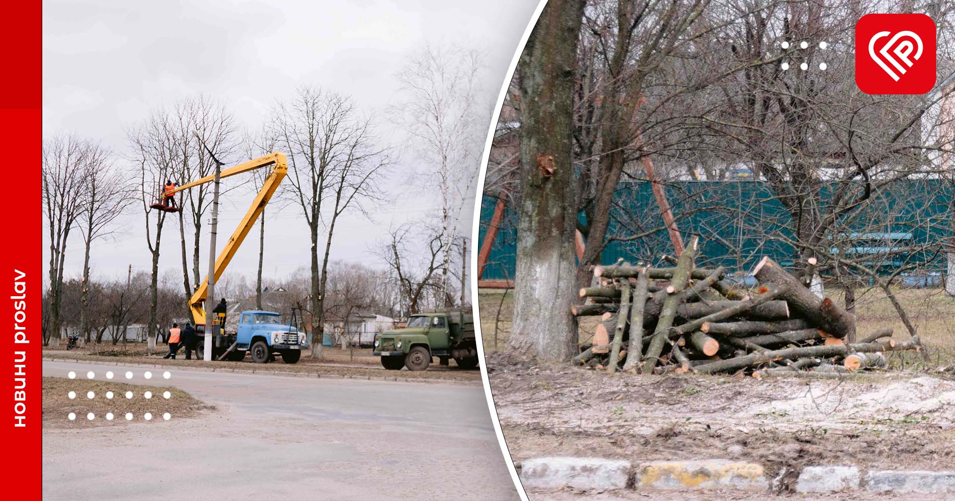 Куди дівають дрова після обрізки дерев у Переяславі: дізнавався Proslav