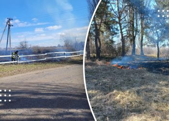 За минулу добу на Переяславщині сталось два загорання трав’яного настилу