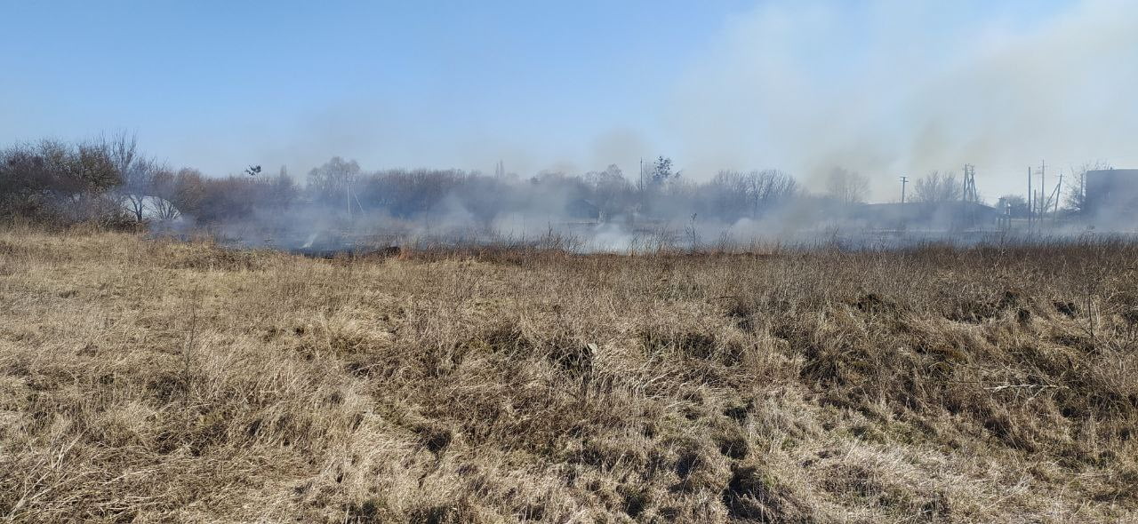 загорання трав'яного настилу поблизу села Гайшин