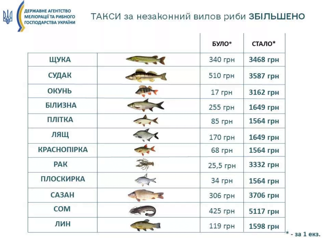 З 1 квітня вводиться заборона вилову риби: які введено штрафи