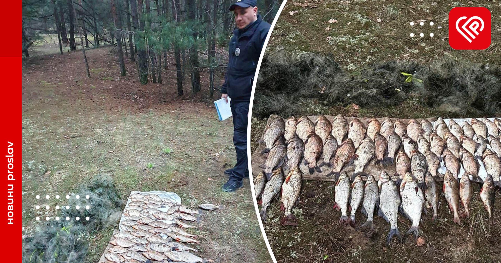 На Канівському водосховищі спіймали браконьєрів, які вловили риби на понад 100 тисяч гривень: розпочато досудове розслідування