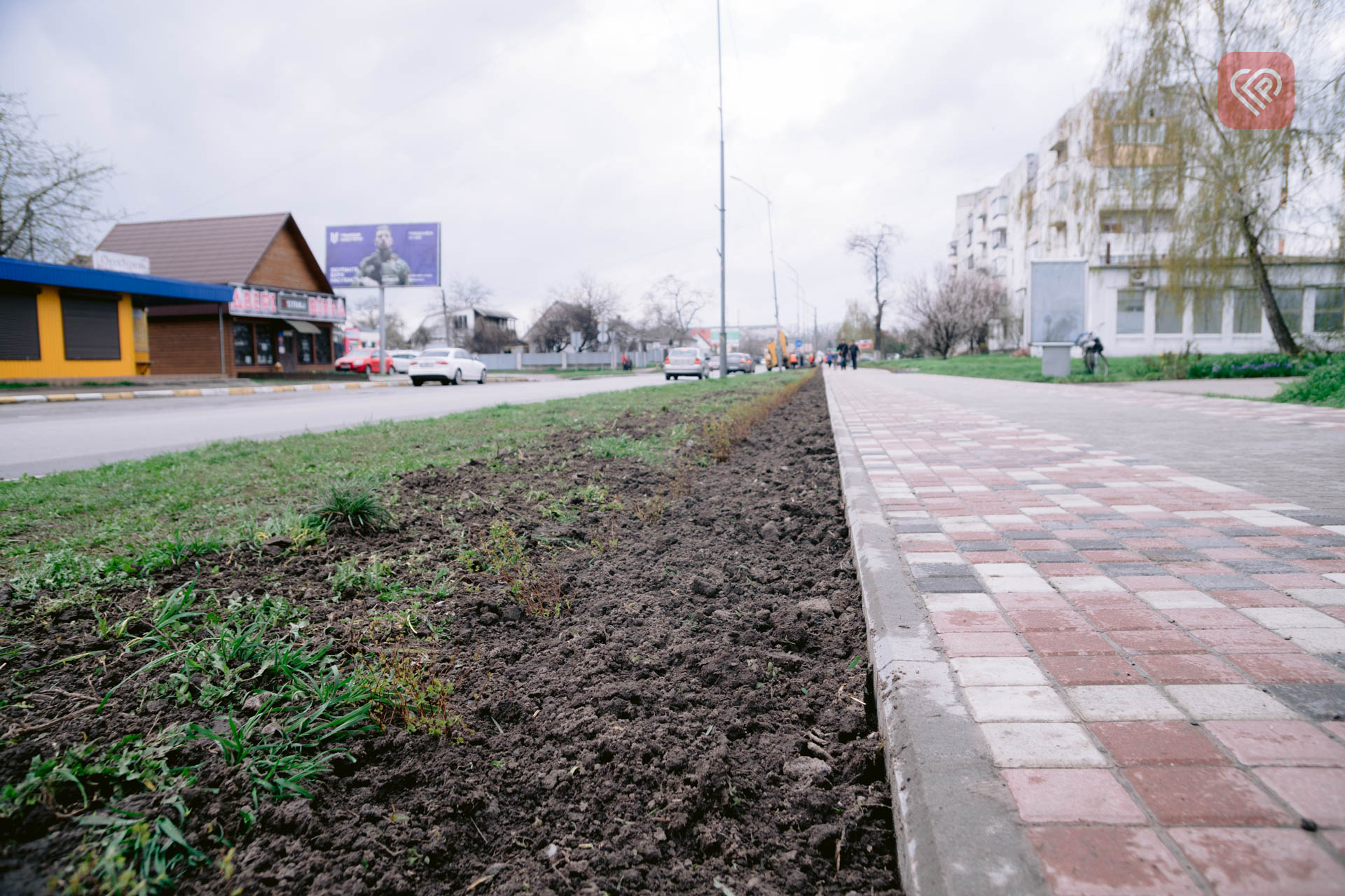 На центральній вулиці Переяслава висадили понад 1000 кущів спіреї: озеленення міста триває