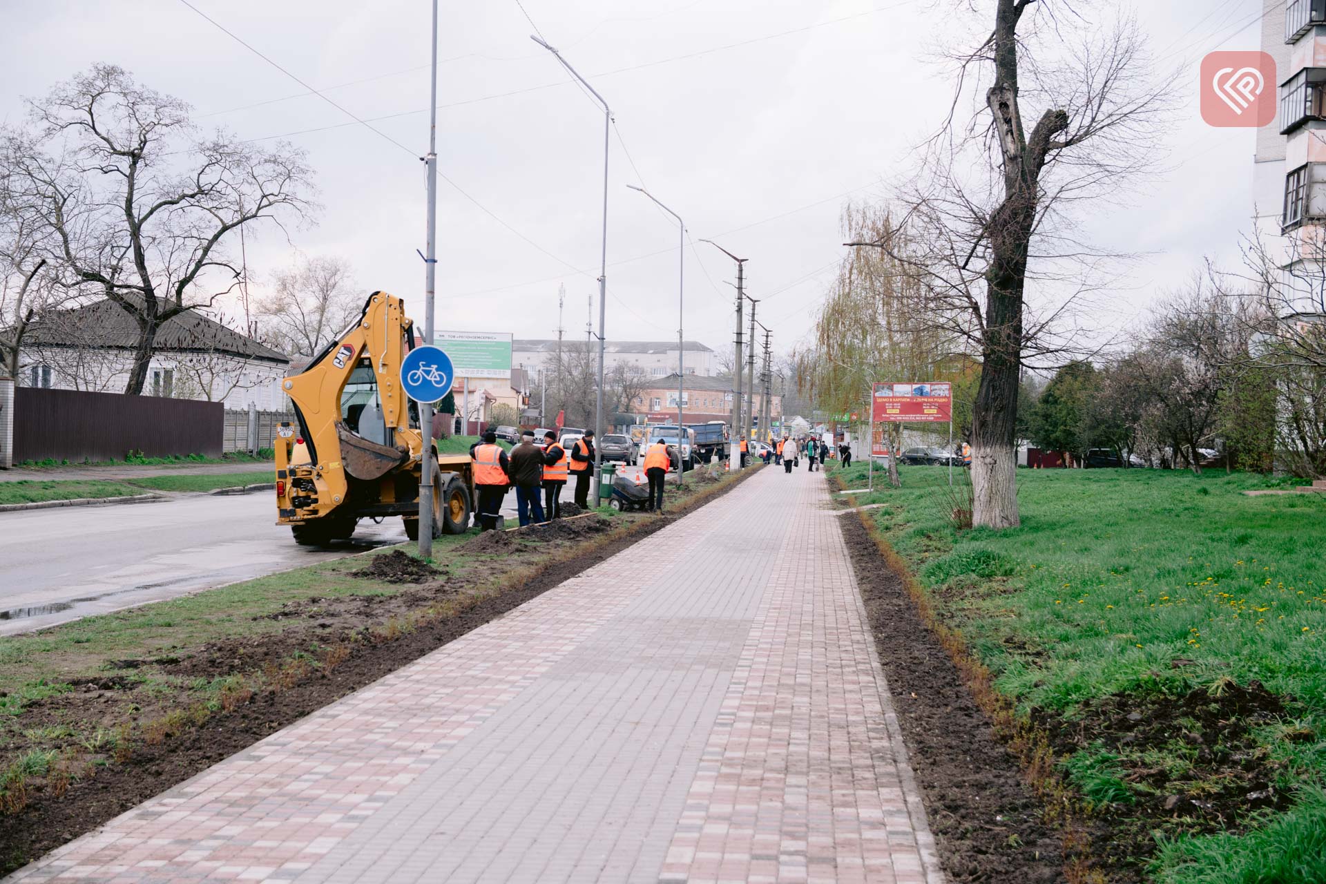На центральній вулиці Переяслава висадили понад 1000 кущів спіреї: озеленення міста триває