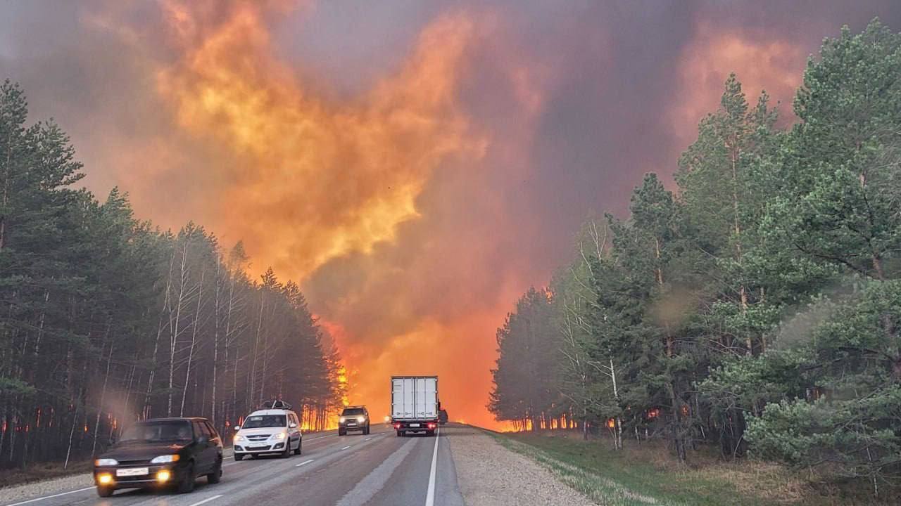 У росії палають масштабні лісові пожежі, які охопили щонайменше 18 регіонів