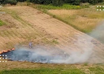 Жителів Переяславщини оштрафували за паління сухої трави (фото та відео)