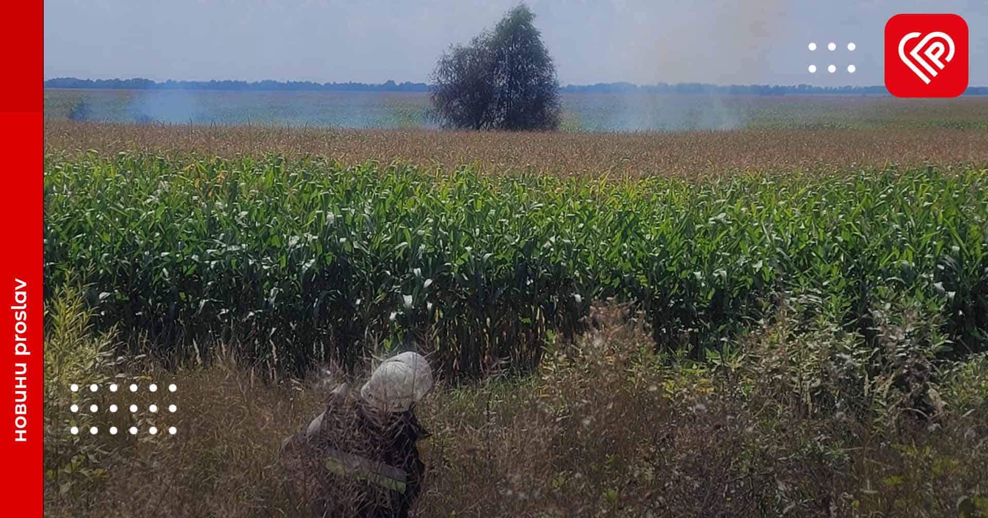 Поблизу села Єрківці загорілося сміття: пожежу оперативно ліквідували