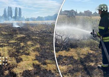 У Переяславі горів трав'яний настил: фото та відео з місця події