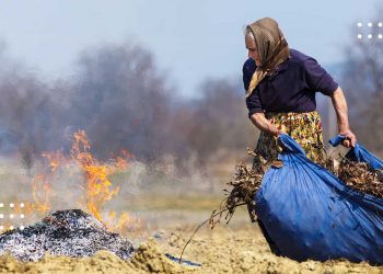 Жителів Київщини закликають не спалювати траву: які штрафи передбачено