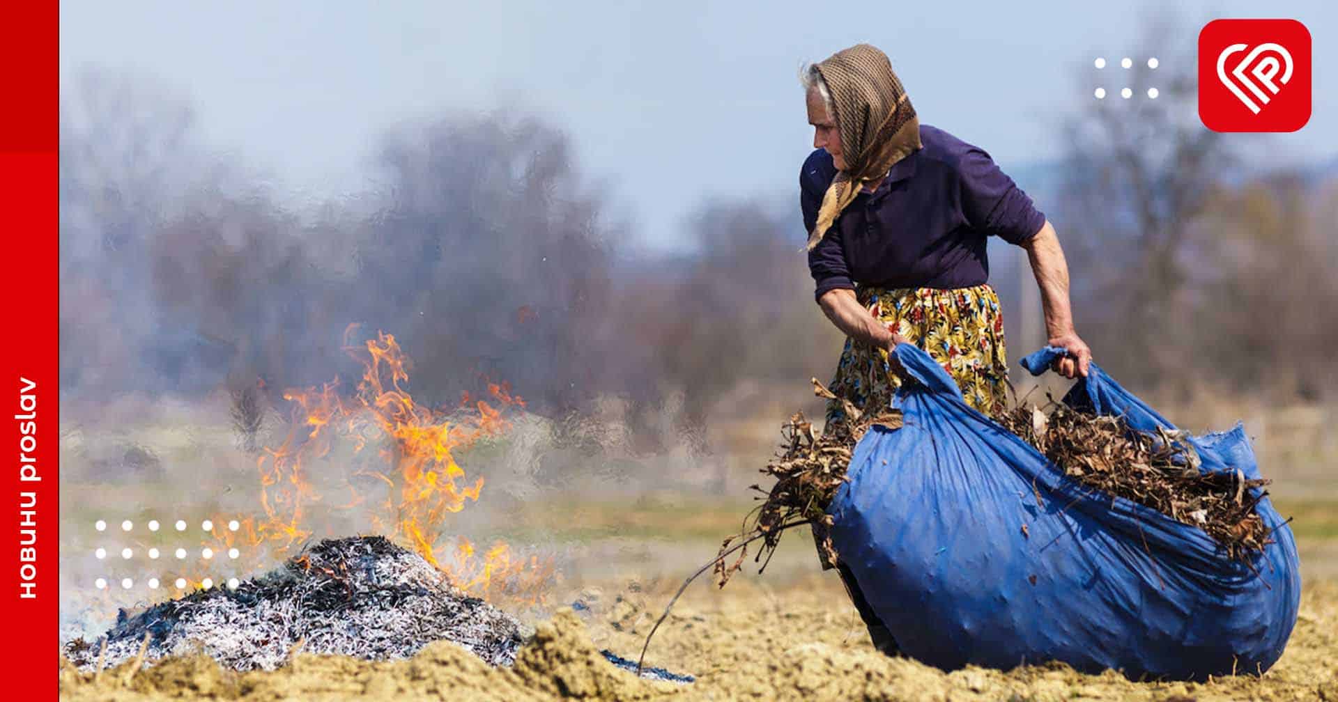 Жителів Київщини закликають не спалювати траву: які штрафи передбачено