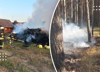 Рятувальники ліквідували на Переяславщині дві пожежі: зайнявся ліс у Циблях та дрова у Ташані