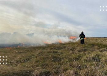 Через сильний вітер пожежники понад 2 години ліквідовували загорання трав’яного настилу у Переяславі