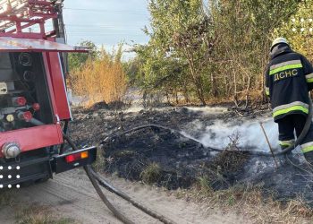У четвер на Переяславщині сталась низка пожеж: у населених пунктах горів трав’яний настил й була загроза будівлям ферми