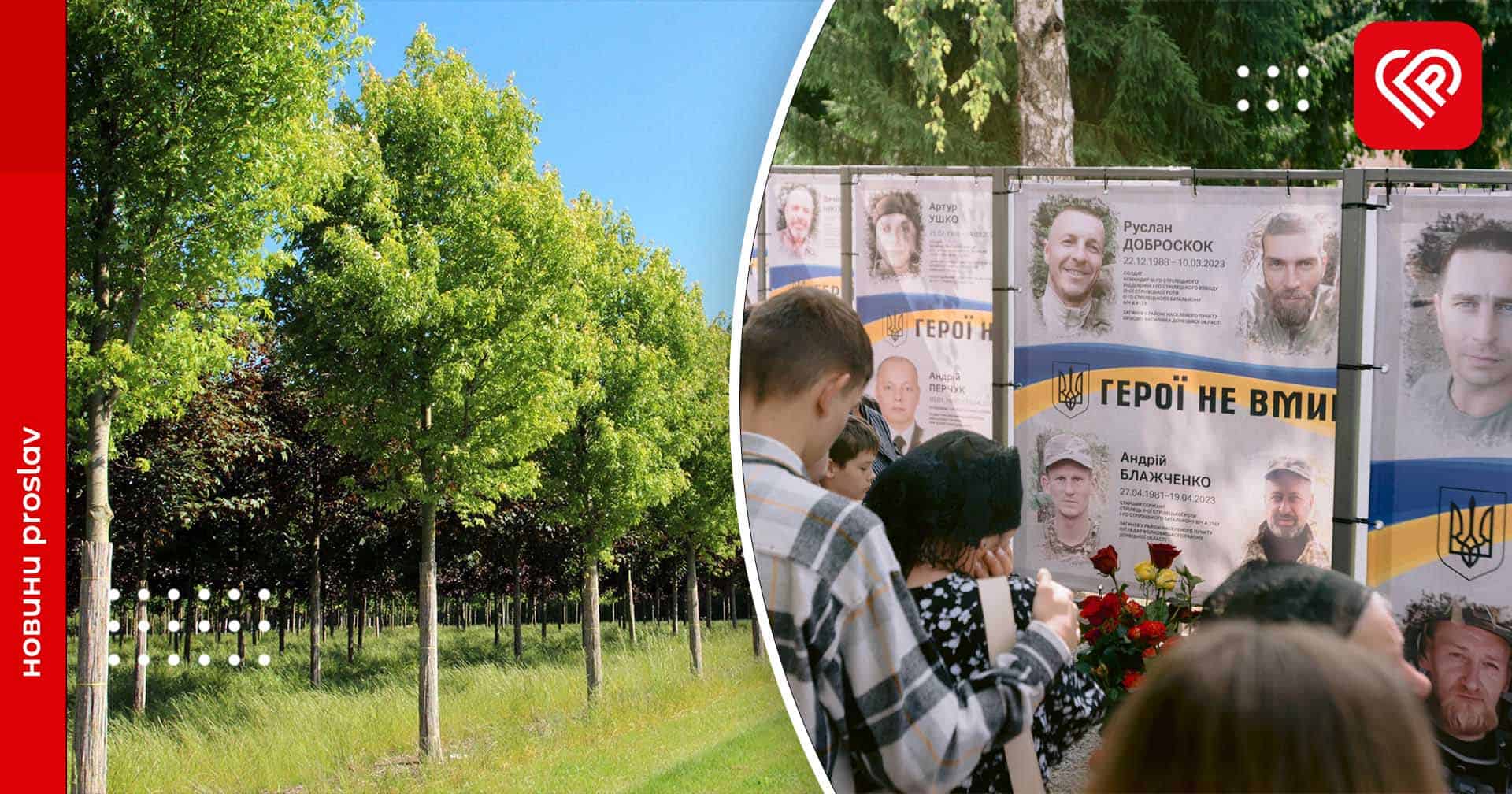 У Переяславі створять кленову алею у пам’ять про загиблих захисників: для цього використають залишок коштів від екологічного податку