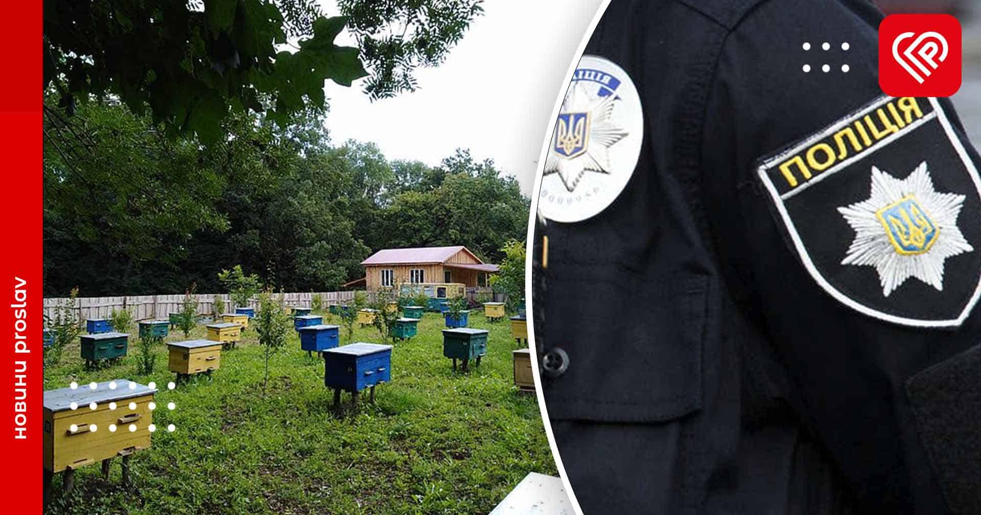 На Переяславщині пасічник повідомив поліції про загибель бджіл через отруту, якою фермери обробляють поля