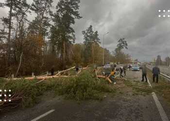 Під час буревію метеостанція поряд з Переяславом зафіксувала рекорд швидкості вітру