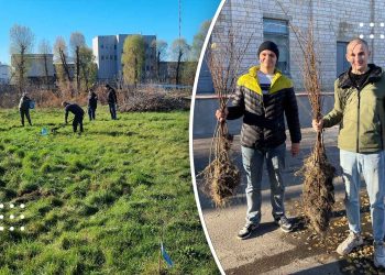 У Переяславі висадили сотню беріз: акцію озеленення організували місцеві депутати