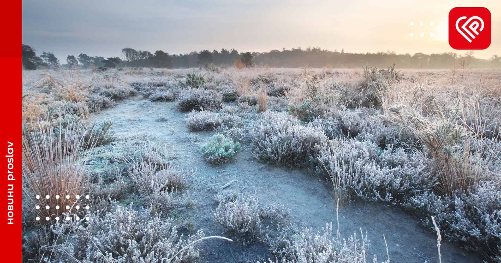 На вихідних в Україні вдарять люті морози, на Київщині йтиме сильний сніг