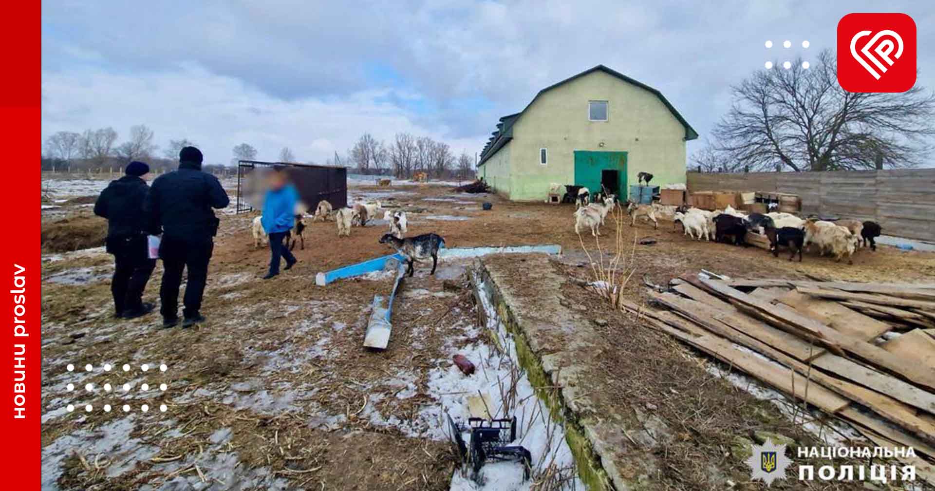 У одному з притулків Київщини жорстоко поводились із тваринами: розпочато кримінальне провадження