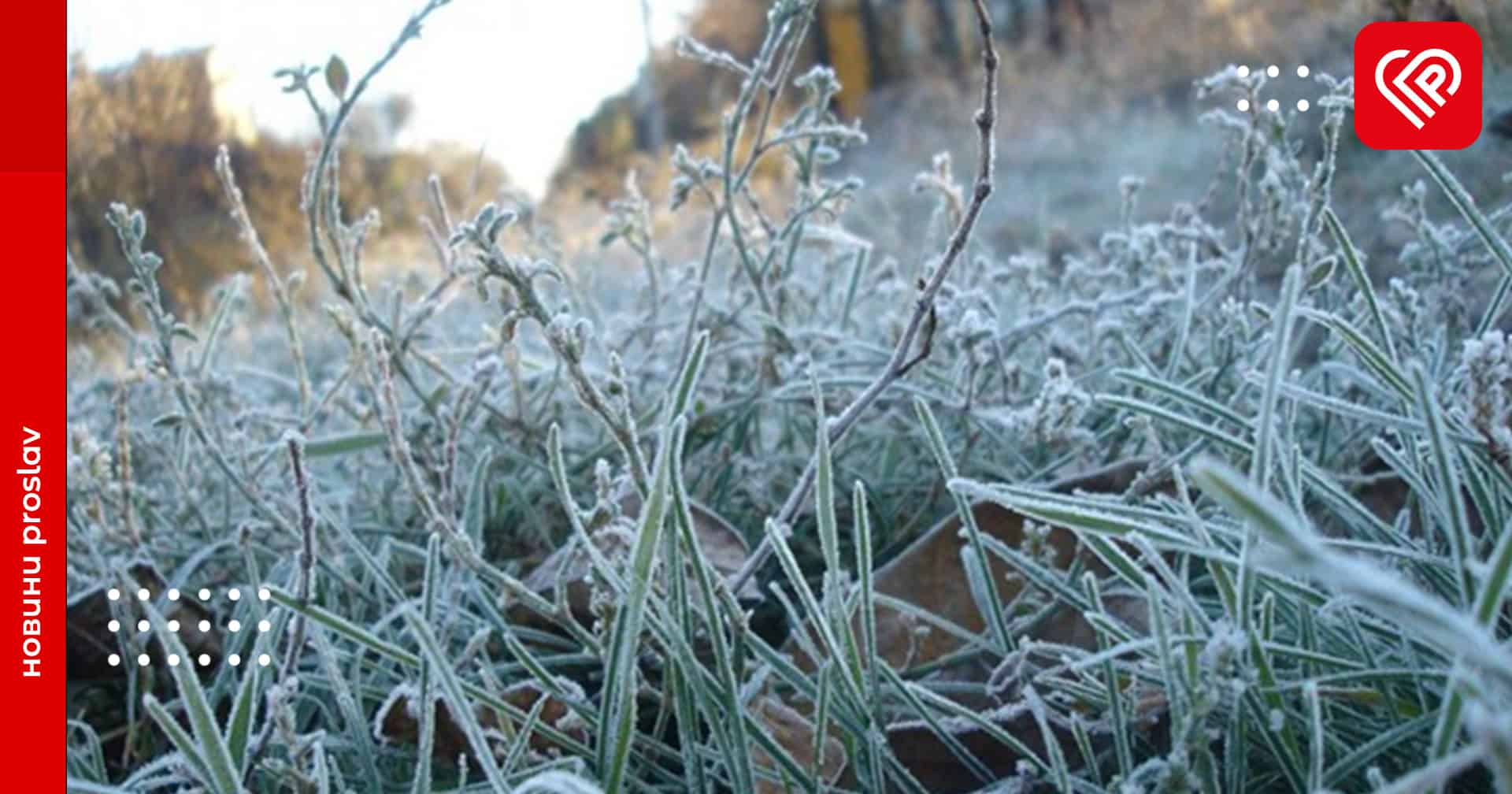 Невеликий сніг, ожеледиця та пориви вітру: прогноз погоди на 11 січня по Київщині