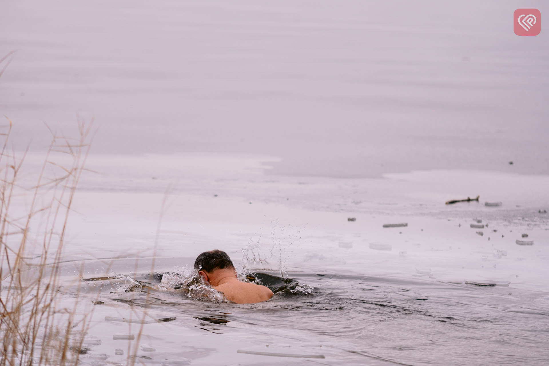 Переяслав Водохреща 2024