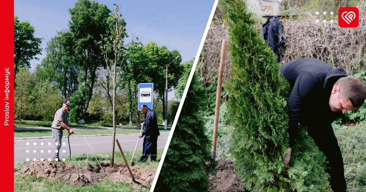 У Переяславській громаді за рахунок екологічного податку акумулювали понад 2 млн грн: їх спрямують на озелення міста та сіл