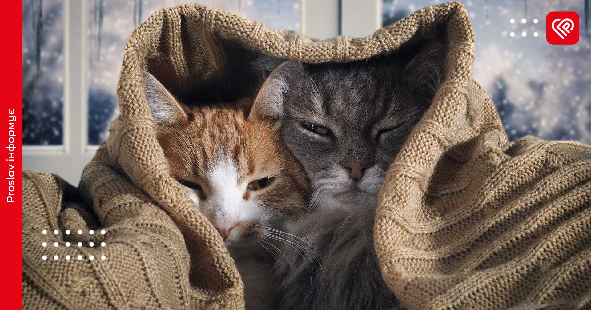 Прогноз на 13 лютого: на Київщині вдень трохи потепліє