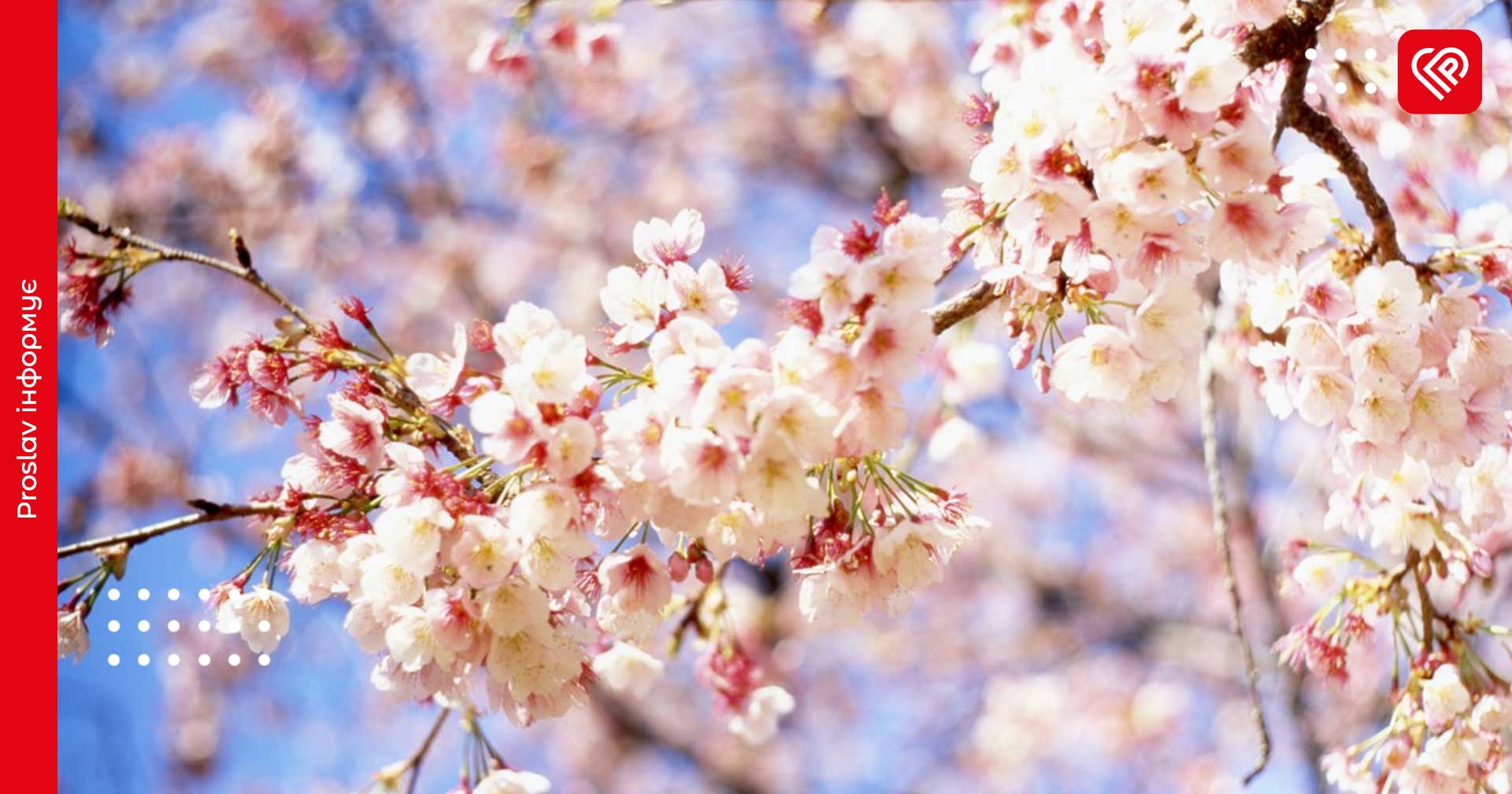 Якою буде погода у квітні 2025 року: прогноз гідрометцентра