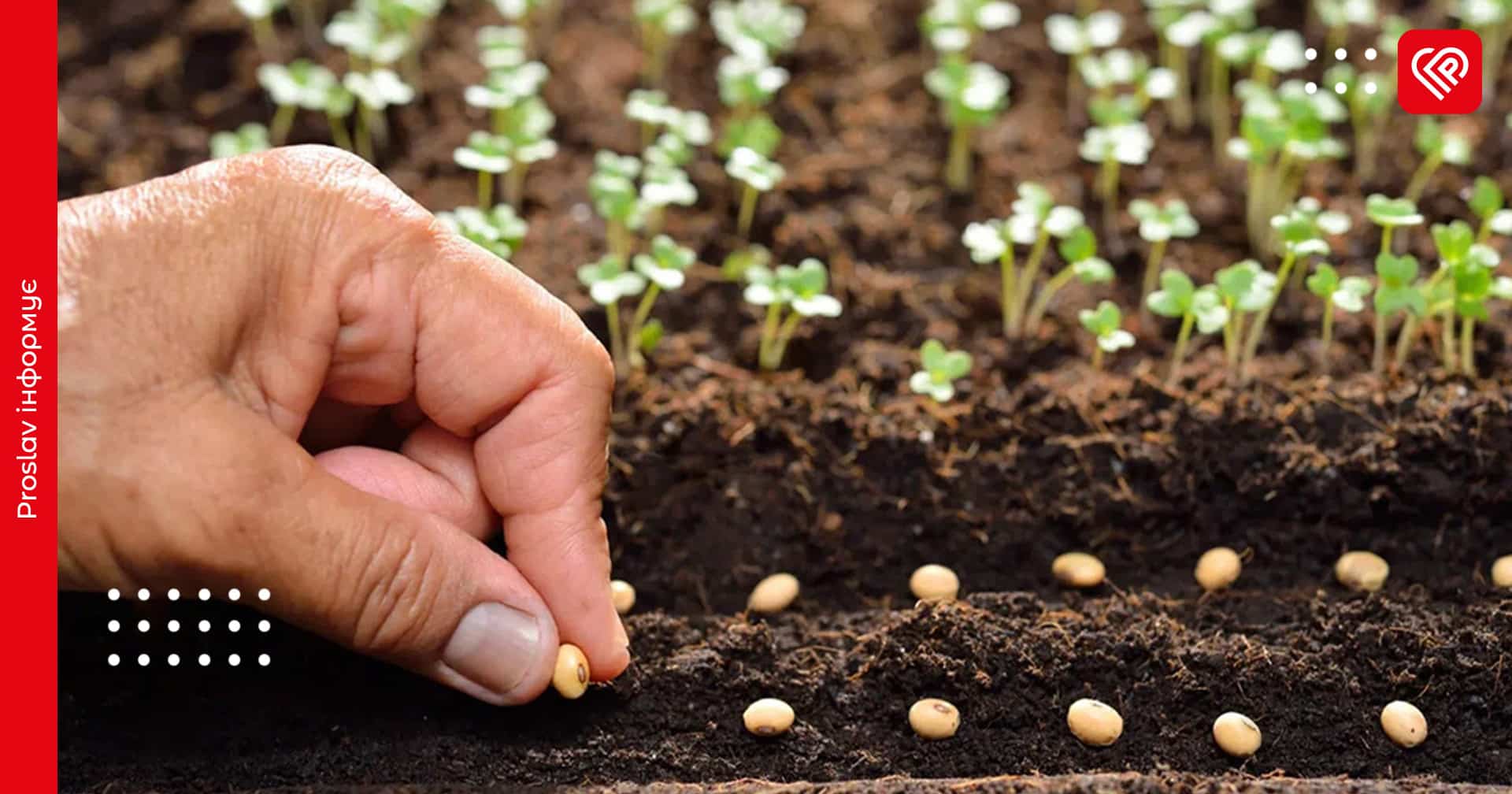 Посівний календар на квітень: що та коли садити на городі для найкращого врожаю