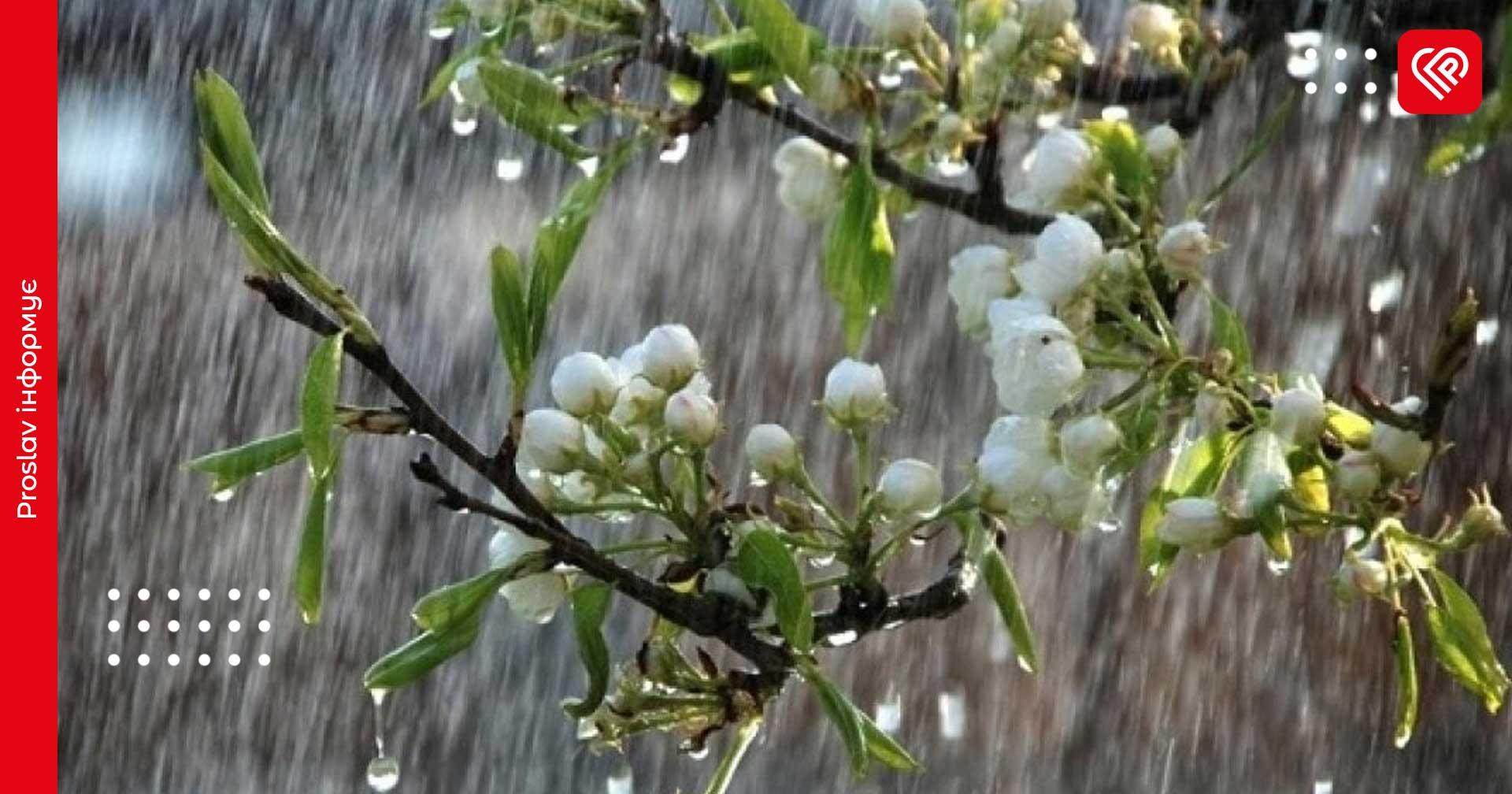 У Київській області може задощити: синоптики зробили прогноз на 12 березня