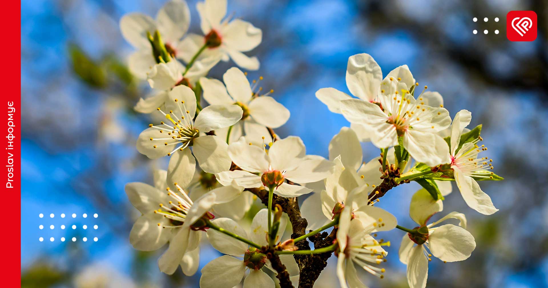 На Київщині буде по-весняному тепло: у гідрометцентрі зробили прогноз на 7 березня