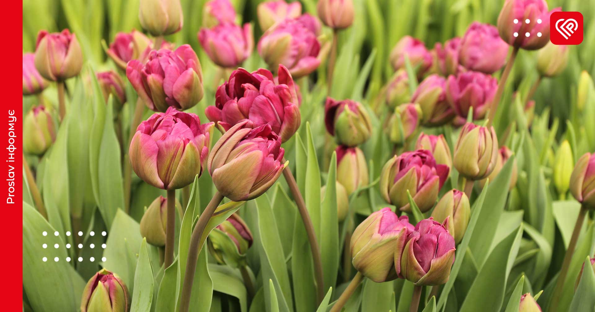 Прогноз на 8 березня: на Київщині вночі приморозить, а вдень буде тепло