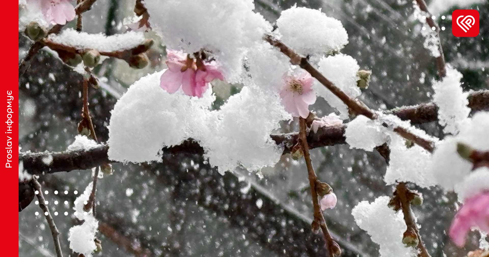 Прогноз на 10 квітня по Київщині: синоптики попередили про заморозки, мокрий сніг та ожеледицю