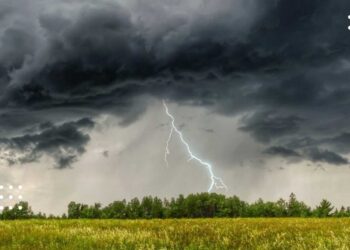 Прогноз на 4 травня: на Київщині очікуються грози