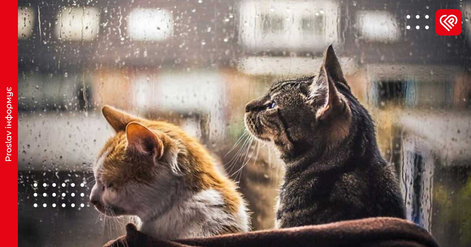 У гідрометцентрі зробили прогноз на 11 травня: на Київщині знову може піти дощ