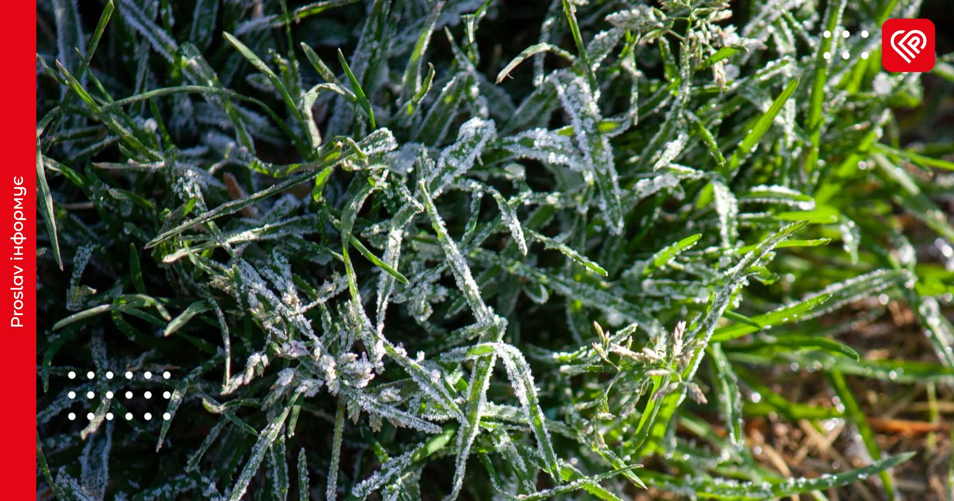 Тиждень на Київщині розпочнеться із заморозків та дощу: прогноз на 12 травня