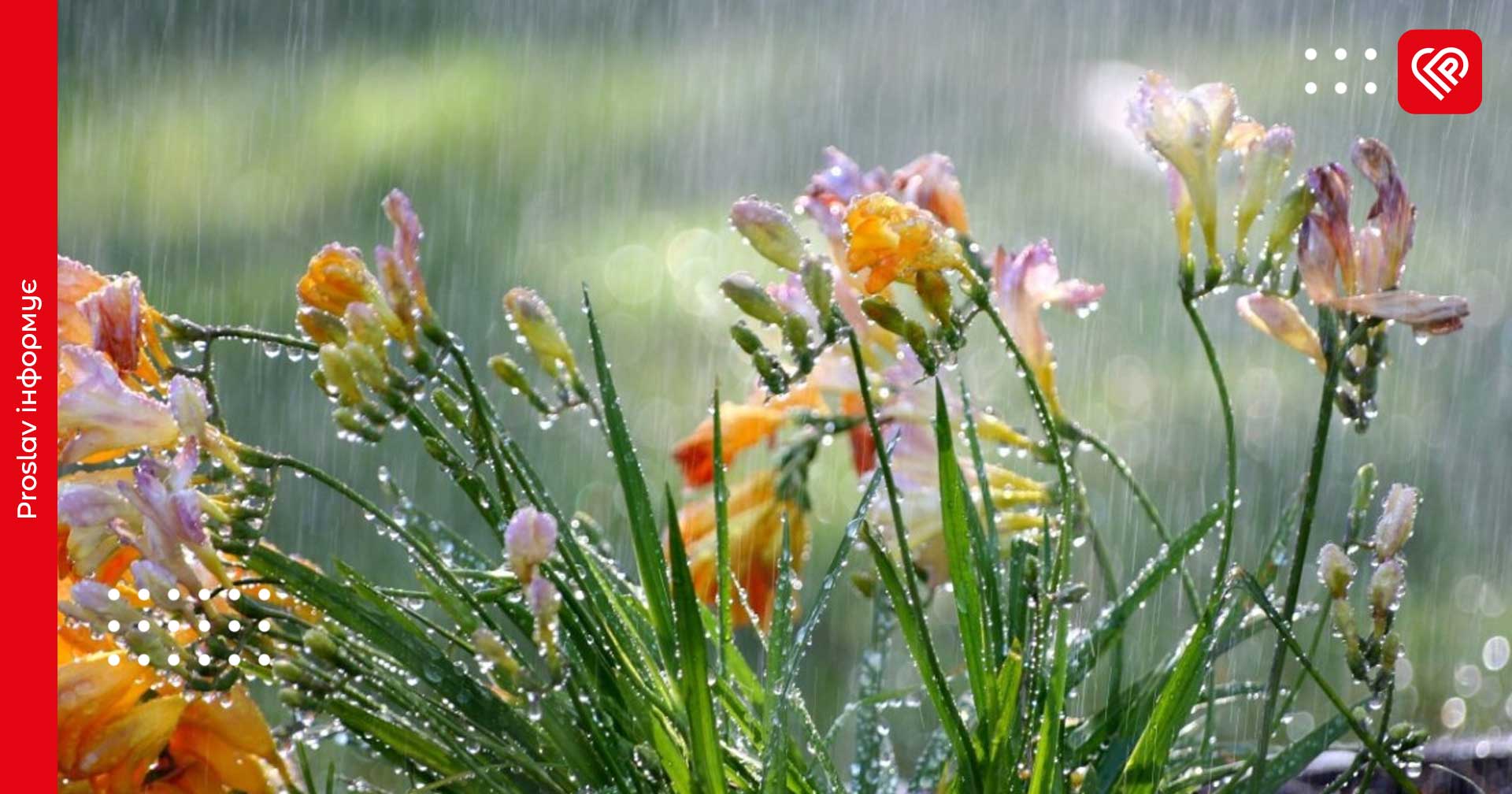 Прогноз на 27 травня: у гідрометцентрі розповіли про погодні умови на Київщині