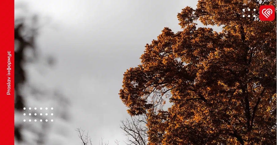 Прогноз погоди: на Київщині 15 листопада буде тепло, але з опадами