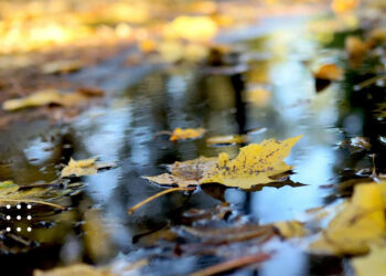 Прогноз погоди: 12 листопада у Київській області знову задощить